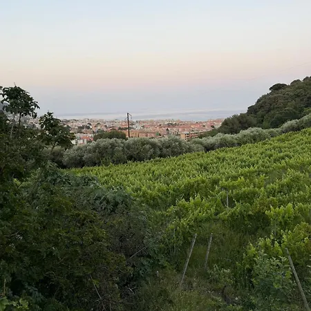 Enjoy The Stunning Views In Muzazzi, Our Riviera *